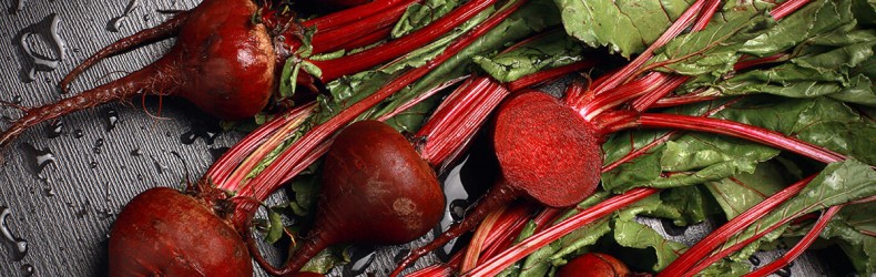 Orticoltura litoranea e lagunare nella zona di Chioggia