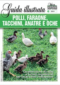 Guida illustrata Polli, faraone, tacchini, anatre e oche