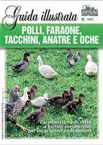 Guida illustrata Polli, faraone, tacchini, anatre e oche