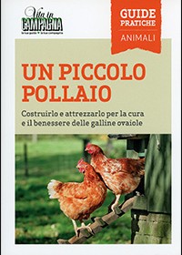 Un piccolo pollaio