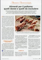 Alimenti per il pollame: quelli idonei e quelli da escludere