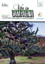 Pulcini con preudopeste