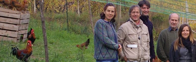 Avicoltura di montagna a Mezzolombardo