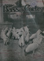 L’allevamento della razza Wyandotte nelle Marche