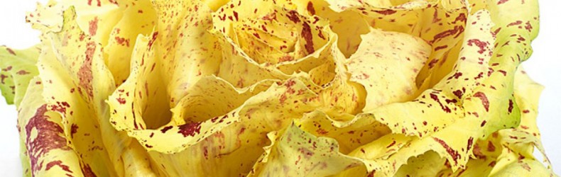 Giornata della Biodiversità Agraria e Alimentare 2025
