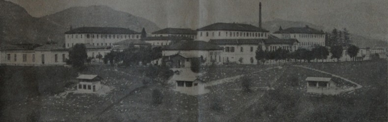 Il Pollaio Provinciale di Como