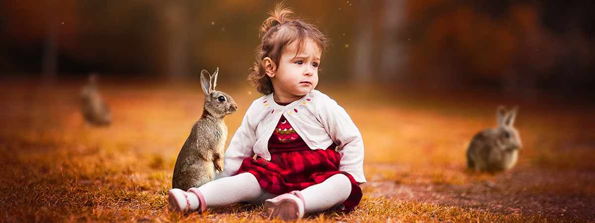 Il coniglio nella pet therapy 
