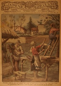 Domenica dell’Agricoltore n° 14 del 1929