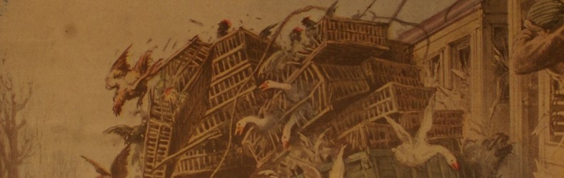 Un piccolo incidente