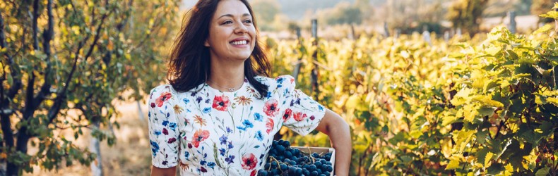 La vendemmia