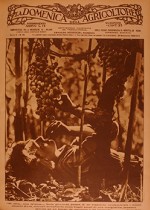 Domenica dell'Agricoltore n. 38 del 1935