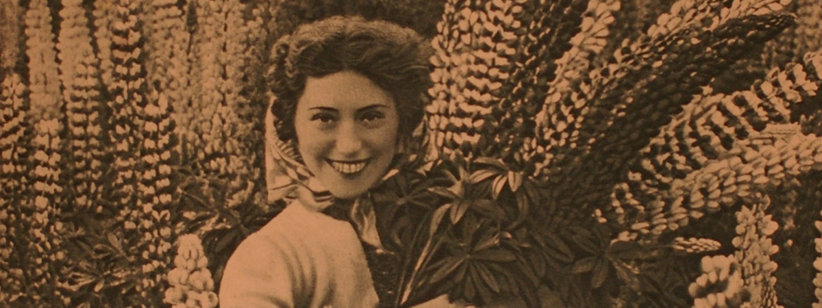 Lupini per tutti i gusti