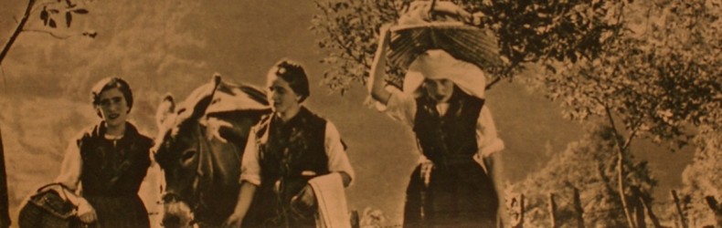Ritorno dai campi
