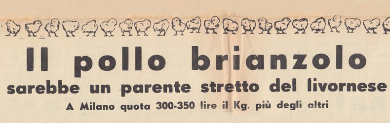 Il pollo Brianzolo