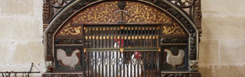 Una gallina lungo il cammino per Santiago de Compostela