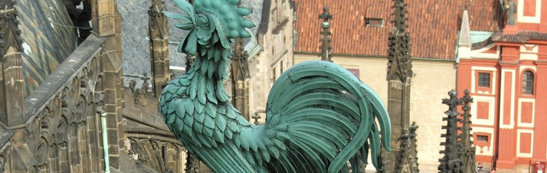 Il gallo sul tetto