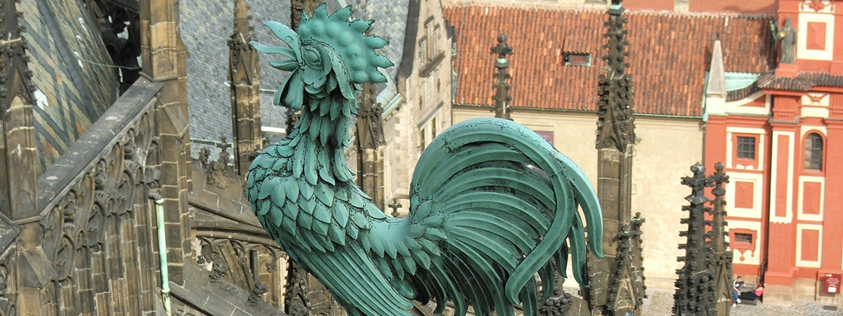 Il gallo sul tetto