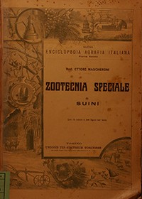 Zootecnia speciale – suini