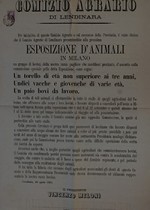 Il Presidente Meloni promuove la nostra razza