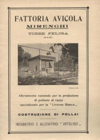 Fattoria avicola Mirenghi