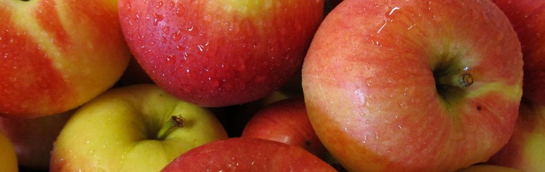 Recupero e valorizzazione delle mele irpine
