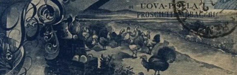 Vendita uova e pollame