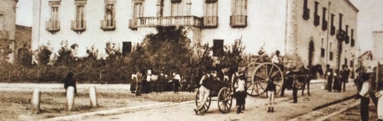 Seleavicola Lisi 1960