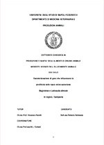 Caratterizzazione di geni che influenzano la prolificità nelle razze ovine autoctone Bagnolese e Laticauda allevate in regione Campania