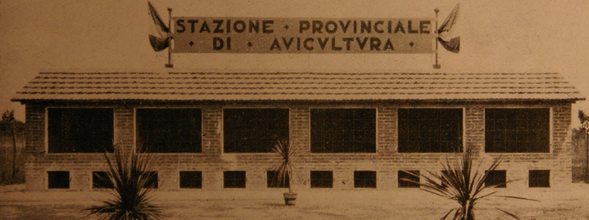 Il Pollaio Provinciale di Bologna