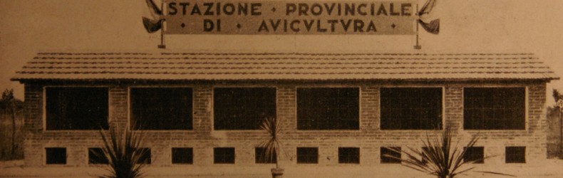 Il Pollaio Provinciale di Bologna